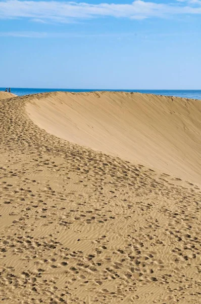 Vacker Strand Med Sanddyner Och Blå Himmel — Stockfoto