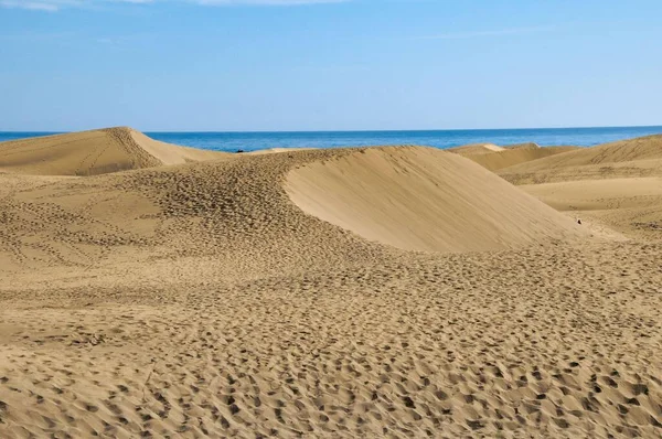 Bela Praia Com Dunas Areia Céu Azul — Fotografia de Stock