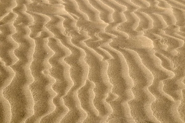 Belle Vue Sur Les Dunes Fond Nature — Photo