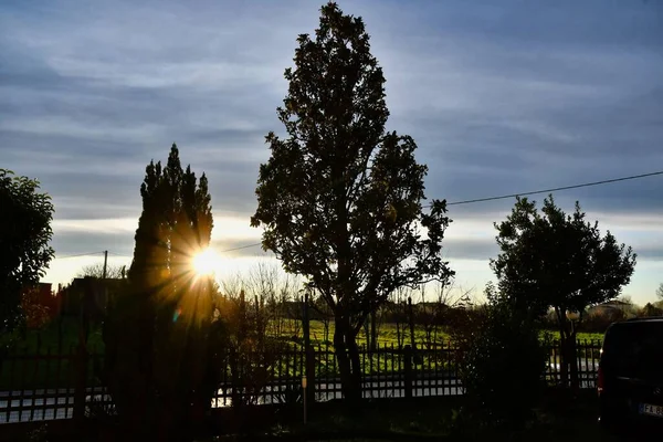 Красивий Захід Сонця Над Парком — стокове фото