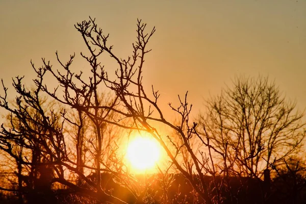 Krásný Západ Slunce Lese — Stock fotografie
