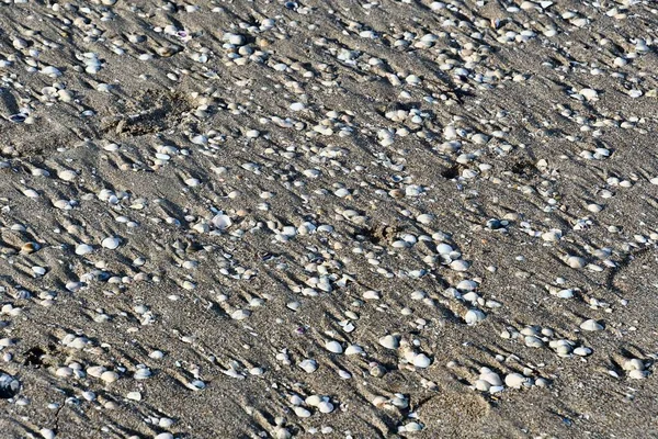 砂の質感を持つ抽象的な背景 — ストック写真