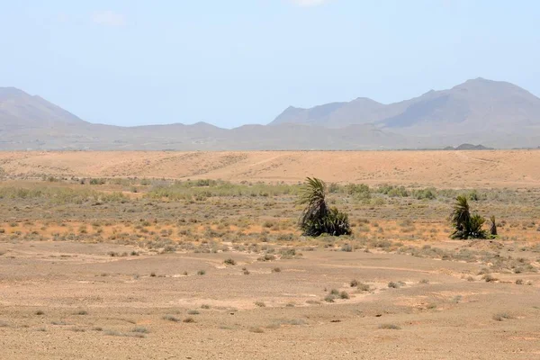 Wüstenlandschaft Natur — Stockfoto