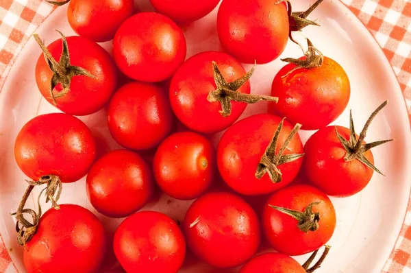 Frische Tomaten Auf Einem Teller — Stockfoto