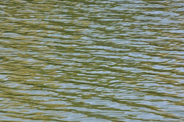 Рябь Берегу Реки — стоковое фото
