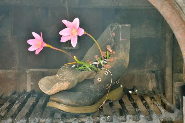 Alter Stiefel Mit Blumen — Stockfoto