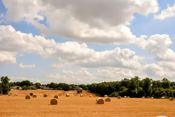 Primo Piano Campo Balle Fieno Una Giornata Nuvolosa — Foto Stock