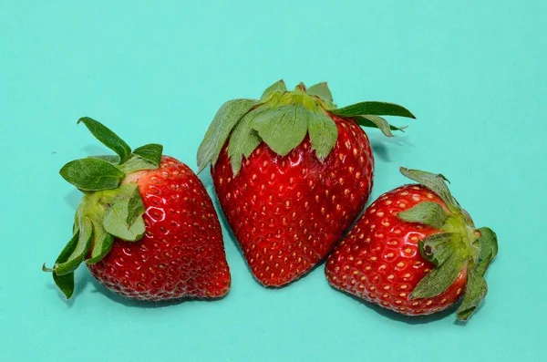 Frische Reife Erdbeeren Auf Blauem Hintergrund — Stockfoto