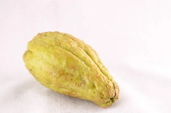 白色背景的Chayote Sechium Naque — 图库照片