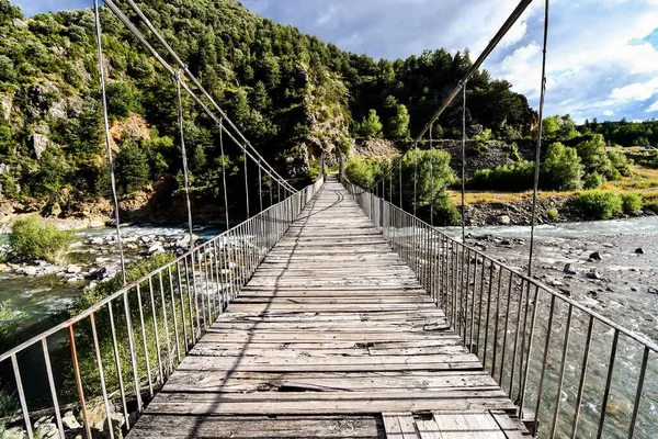 Puente Madera Bosque —  Fotos de Stock