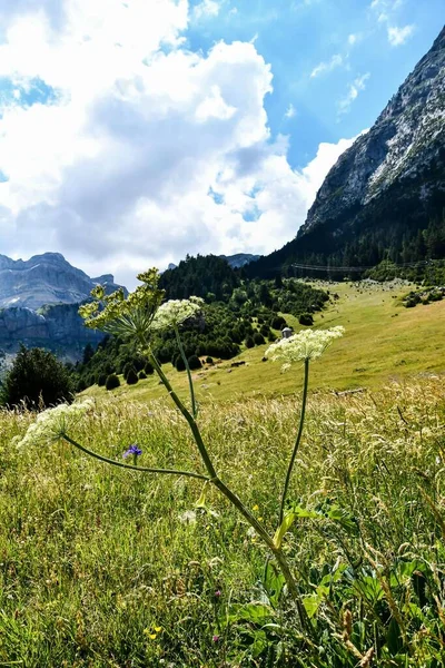 Krásná Krajina Horami Modrá Obloha — Stock fotografie