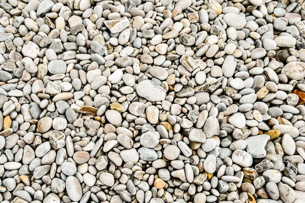 Background Pebbles Stones Texture Close — Stock Photo, Image