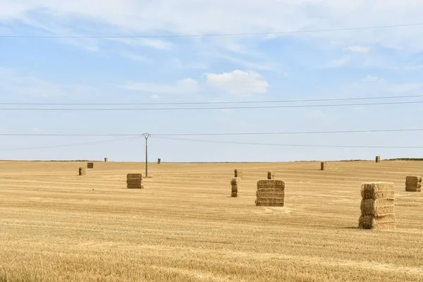 Balle Paglia Campo Campagna — Foto Stock