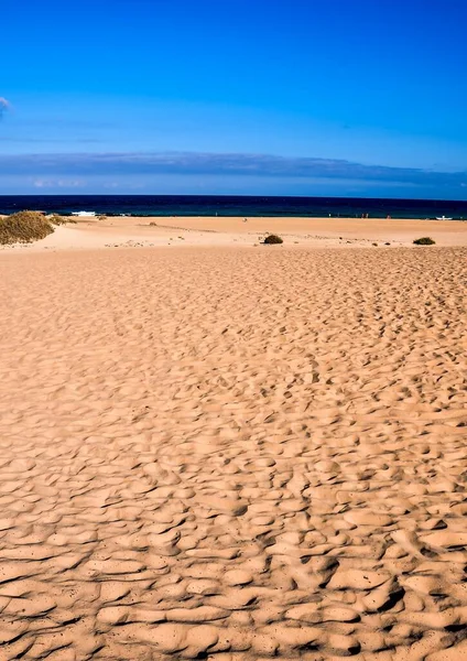 美しい海の景色を眺めながら — ストック写真