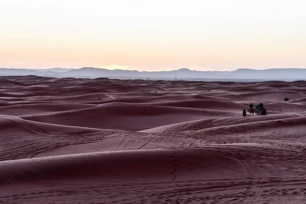 Gyönyörű Táj Sivatagban — Stock Fotó