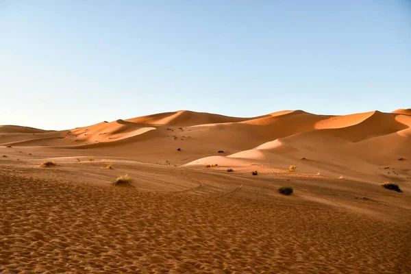 Gyönyörű Táj Sivatagban — Stock Fotó