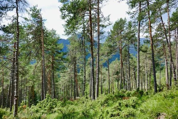 Luonnonkaunis Laukaus Kaunis Maisema Vuorilla — kuvapankkivalokuva