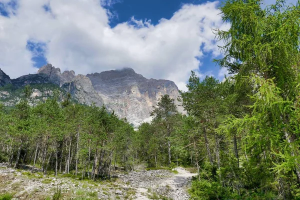 美しい山々の風景を撮影し — ストック写真