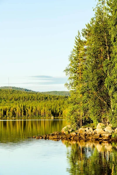 Vackert Landskap Med Sjö Och Skog — Stockfoto