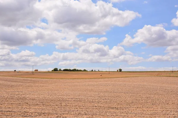 Veld Het Platteland — Stockfoto