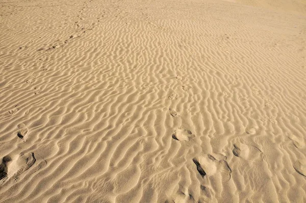 Dunas Arena Desierto —  Fotos de Stock