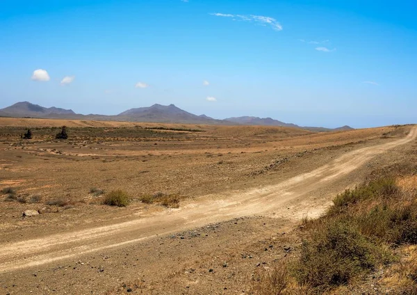 Bellissimo Paesaggio Del Deserto Dei Negev Nel Nord Dello Stato — Foto Stock