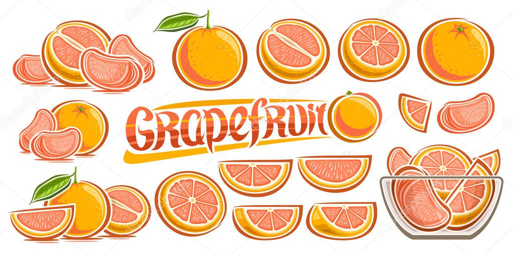 Vector Grapefruit Set, horizontal banner with lot collection of cut out illustrations grapefruit still lifes with green leaves, many different chopped ripe fruits in glass plate and word grapefruit