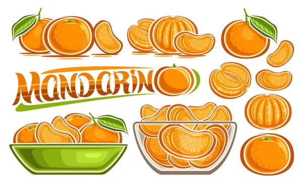 Vector Mandarin Set Horizontal Banner Lot Collection Cut Out Illustrations — 스톡 벡터