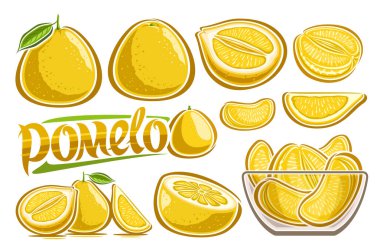 Vector Yellow Pomelo Set, bir sürü kesilmiş illüstrasyonlar çeşitli meyveli egzotik yaşam kompozisyonu yeşil yapraklar ve doğranmış pomelo, cam kasede çok çeşitli meyveler ve kelime pomelo