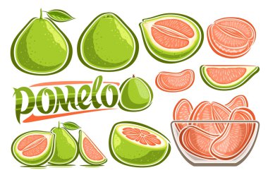 Vektör Yeşil Pomelo Set, bir sürü kesilmiş illüstrasyonlar çeşitli meyveler yapraklar ve kesim pomelo ile tropikal yaşam, şeffaf cam plaka ve kelime pomelo içinde birçok olgun meyve