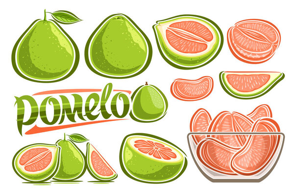 Vector Green Pomelo Set, lot collection of cut out illustrations various fruity tropical still life with leaves and section pomelo, many variety ripe fruits in transparent glass plate and word pomelo