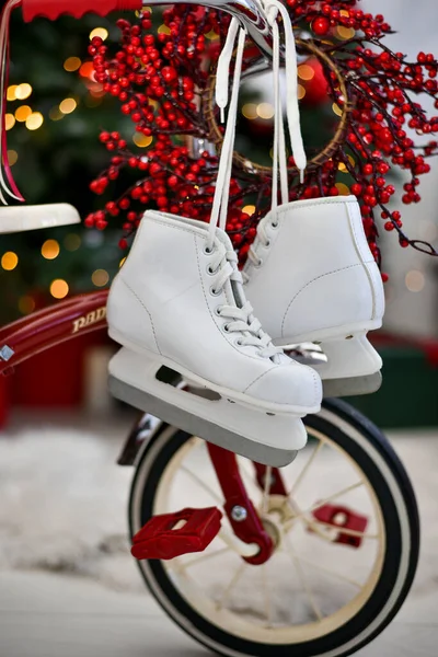 ice skates, winter, entertainment on ice, figure skating, holiday, rink, champion, figure skater,