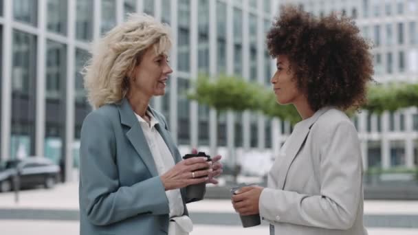 Multiracial business women having outdoors conversation — Stock video