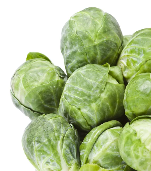 Brussels sprouts in closeup over white background — Stock Image Brussels sprouts in closeup over white background Royalty Free Stock Images