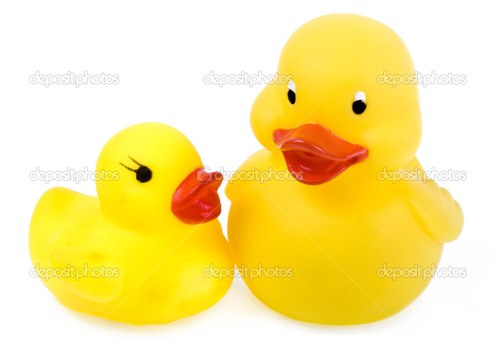 rubber duck chicken