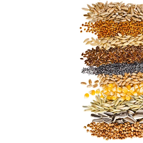 Cereal Grains and Seeds — Stock Photo © Madllen 14091583