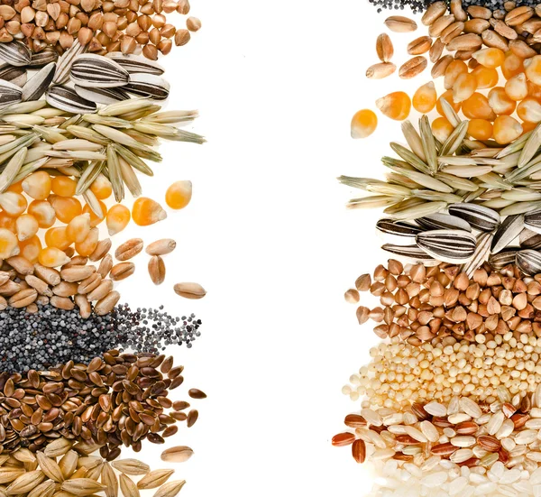 Cereal Grains and Seeds — Stock Photo © Madllen 14091583