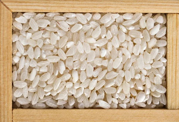 Rice grain in wooden frame box