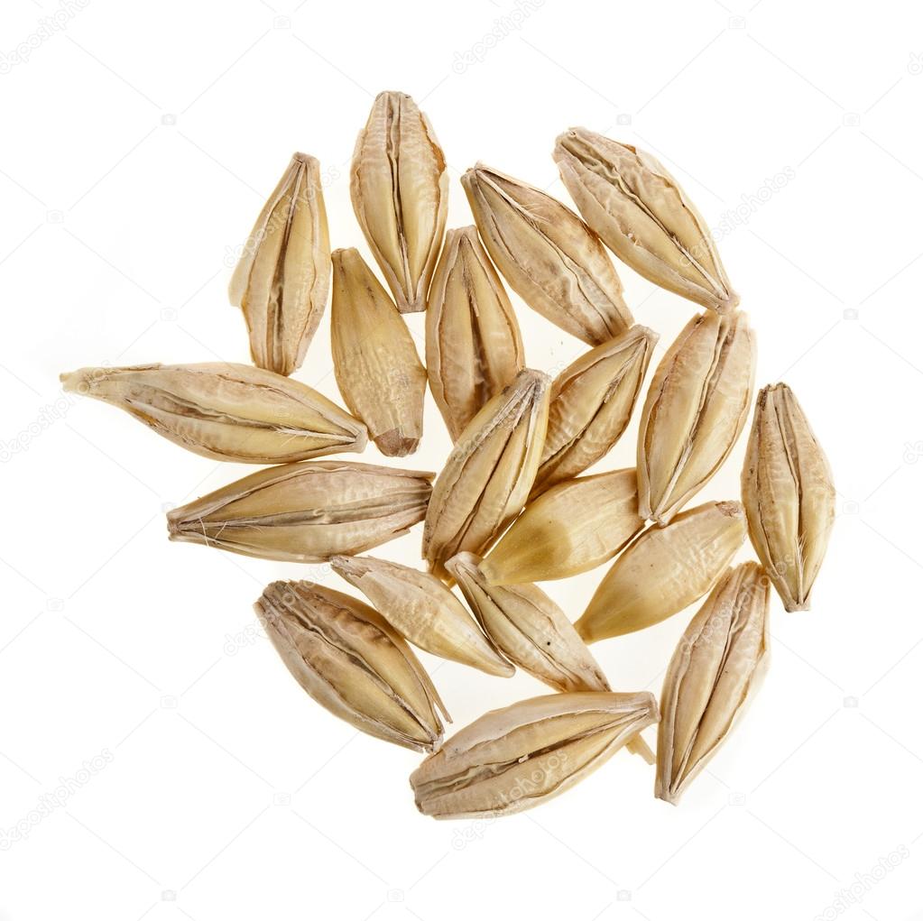 Barley grain seed closeup isolated on white — Stock Photo © Madllen
