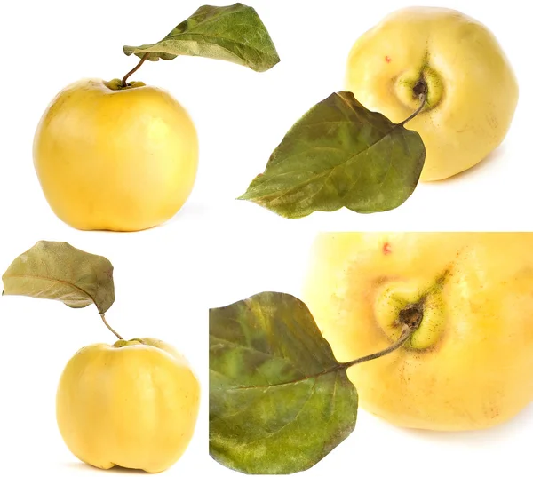 Pectin Stock Photos, Royalty Free Pectin Images Depositphotos®