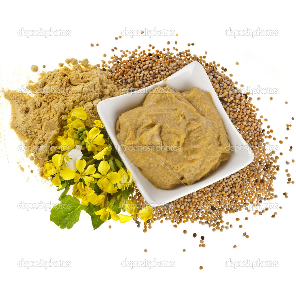 Mustard dish sauce and powder, seeds with mustard flower bloom on white