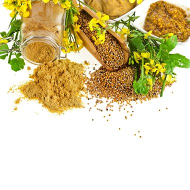 Mustard jar and mustard powder spoon, seeds scoop, with fresh mustard flower