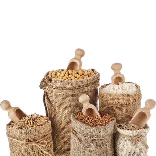 Corn kernel seed meal and grains in bags with wooden scoop isolated on