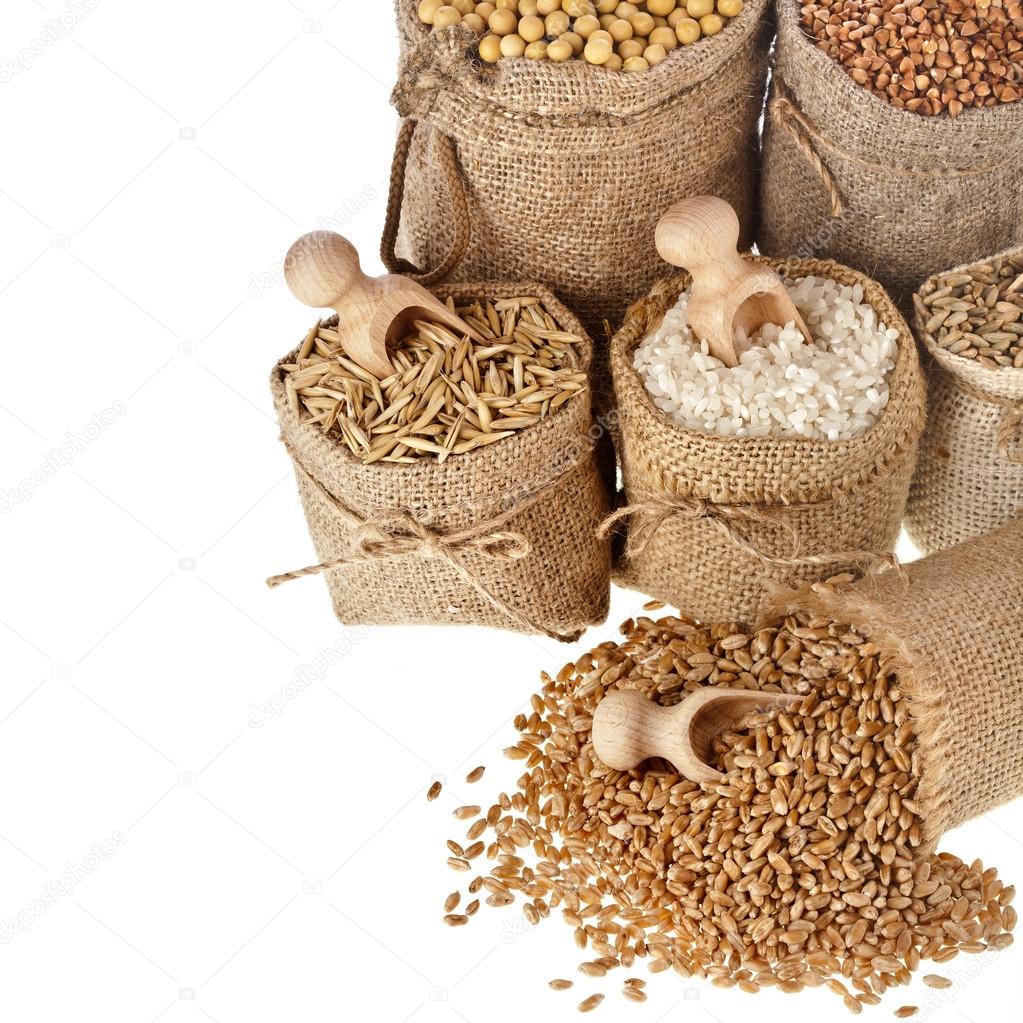 Corn kernel seed meal and grains in bags isolated on a white background