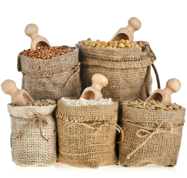 Corn kernel seed meal and grains in bags with wooden scoop isolated on