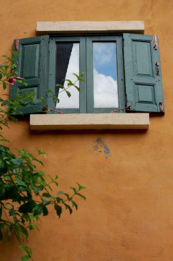 duvar pencere yeşil yaprakları.