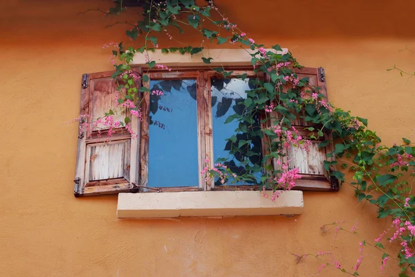 Pencere vintage pembe çiçekler. — Stok fotoğraf
