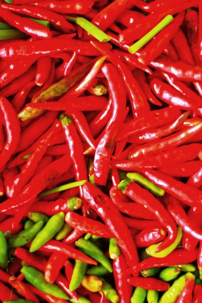 Chili red and green background. — Stock Photo, Image