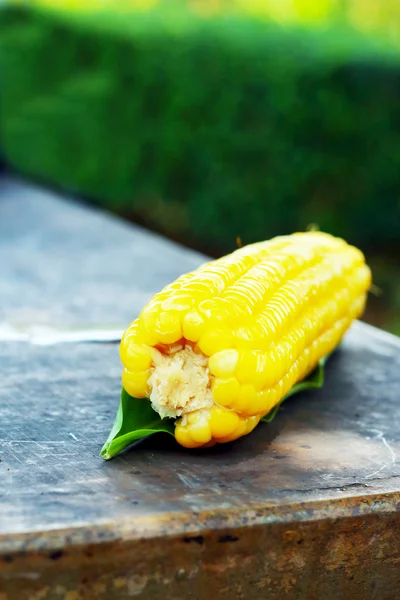 Fresh corn on the table. — Stock Photo, Image