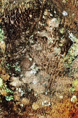 eski ahşap arka plan - vintage tarzı.